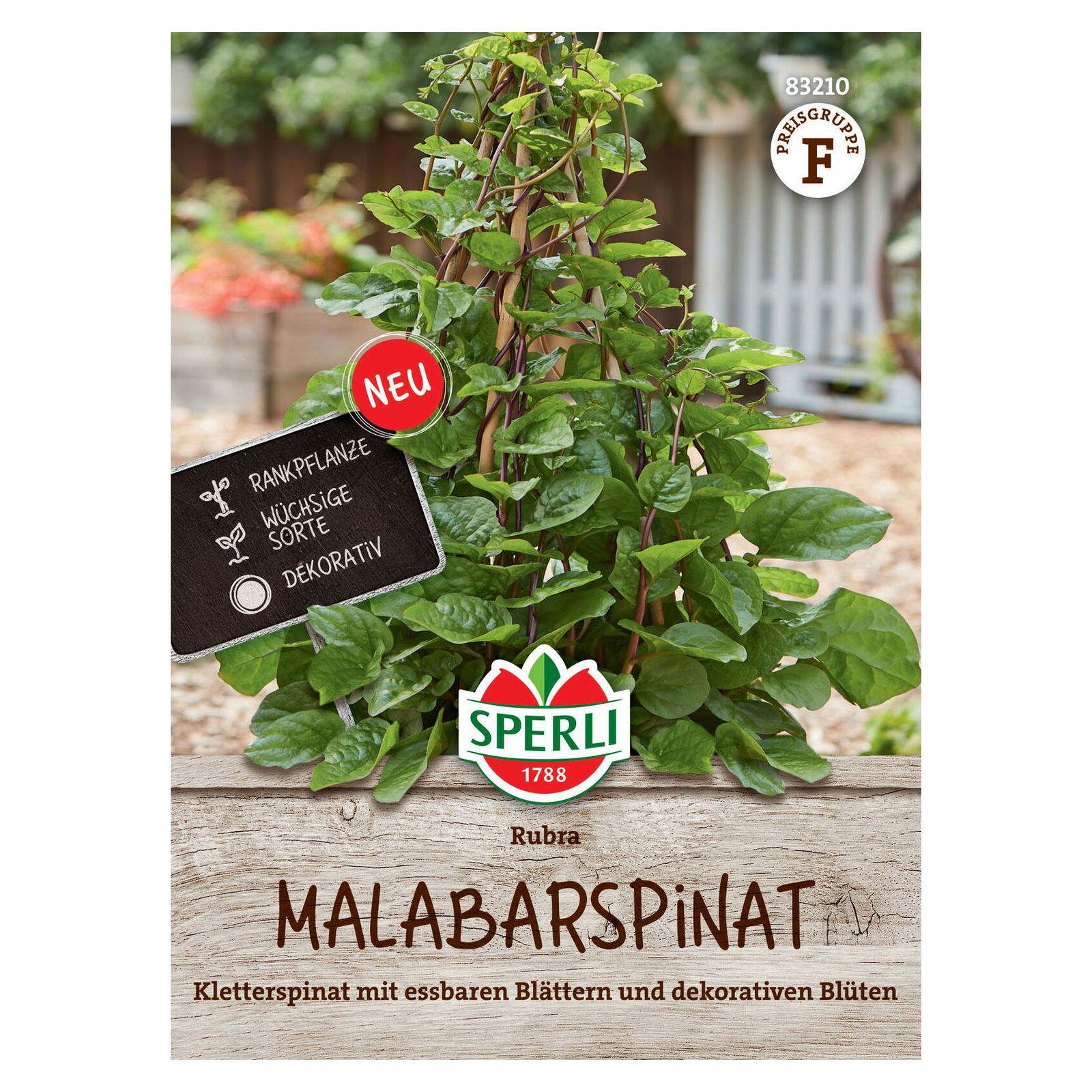 Saatgut Malabarspinat 'Rubra'