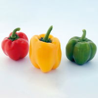 Terrassengemüse Mix, Topf-Ø 12 cm, 5er-Set