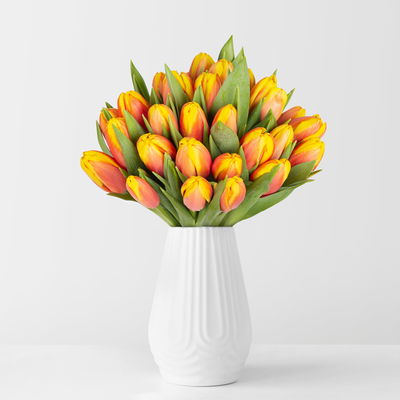 30 rot/gelbe Tulpen 30 rot/gelbe Tulpen