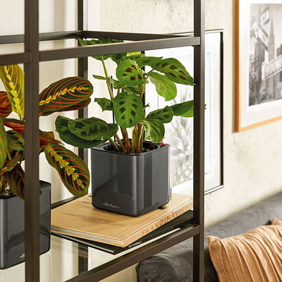 Lechuza 'Cube Glossy 14', anthrazit, ca. 14 x 14 x H 13,5 cm