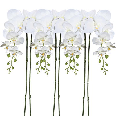 Kunstpflanze Orchideenzweig, creme, Höhe ca. 86 cm Kunstpflanze Orchideenzweig, creme, Höhe ca. 86 cm