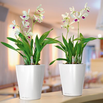 Lechuza 'Deltini', weiß, ca. Ø 15 x H 19 cm Lechuza 'Deltini', weiß, ca. Ø 15 x H 19 cm