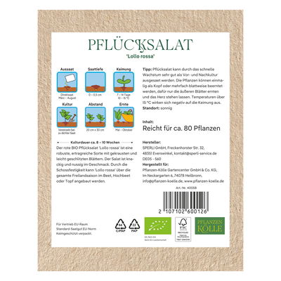 Kölle Bio Gemüsesamen, Pflücksalat 'Lollo rossa'