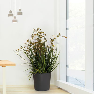 Euro 3 Plast Pflanzgefäß 'Fyre', anthrazit, ca. Ø 40 x H 39 cm