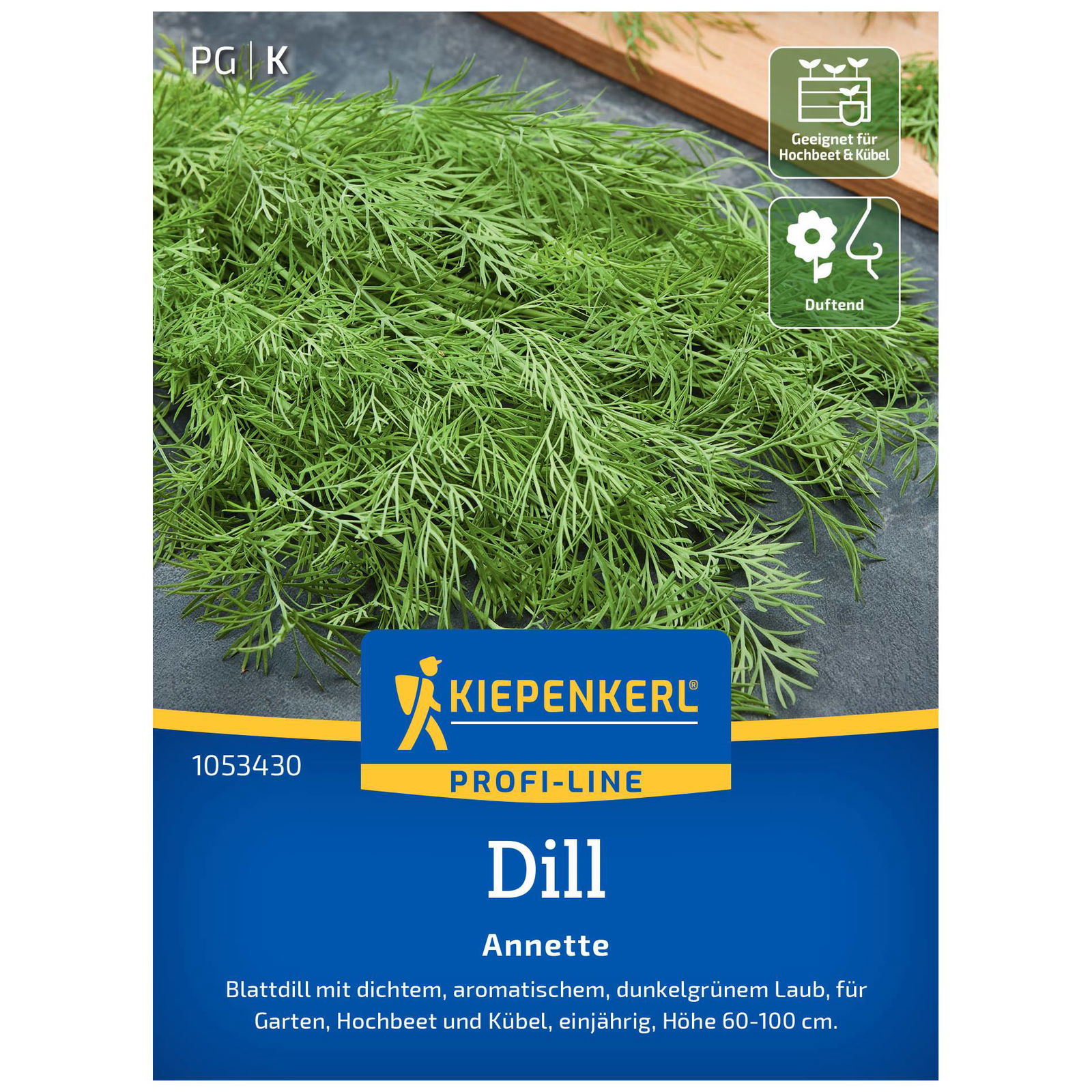 Kiepenkerl Saatgut Dill 'Annette'