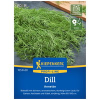 Kiepenkerl Saatgut Dill 'Annette'