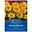 Blumensamen, Sonnenblume 'Pacino', gelb Blumensamen, Sonnenblume 'Pacino', gelb
