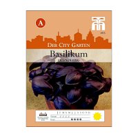 Basilikum Crimson King / essbar, lila, kräftiger Geschmack