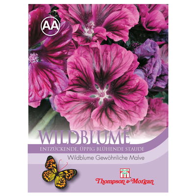 Wildblume Gewöhnliche Malve / mehrjährig, pflegeleicht, üppig Wildblume Gewöhnliche Malve / mehrjährig, pflegeleicht, üppig