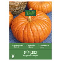 Kölles Beste Gemüsesamen, Kürbis Kölles Beste Gemüsesamen, Kürbis
