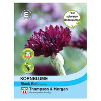 Thompson & Morgan Blumensamen Kornblume Black Ball