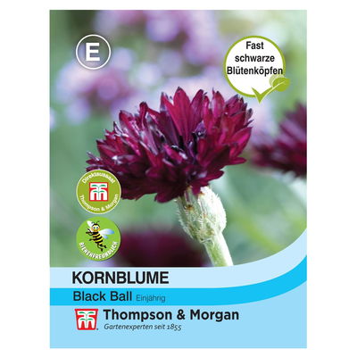 Thompson & Morgan Blumensamen Kornblume Black Ball
