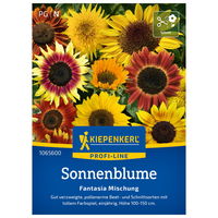 Blumensamen, Sonnenblume 'Fantasia Mix', gelb