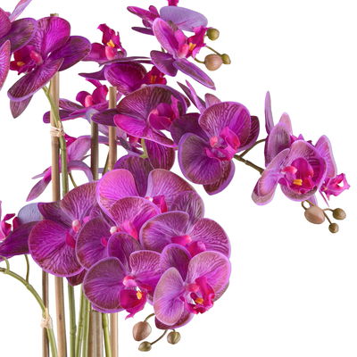 Kunstpflanze Phalaenopsis, lila/schwarz, Höhe ca. 70 cm