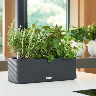 Lechuza 'Cube Color Triple', schiefergrau, ca. 40 x 14 x H 13,5 cm Lechuza 'Cube Color Triple', schiefergrau, ca. 40 x 14 x H 13,5 cm