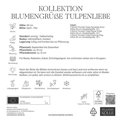 Tulpen 'Blumengrüße - Tulpenliebe', weiß, rosa, Größe 12+, 15 Blumenzwiebeln Tulpen 'Blumengrüße - Tulpenliebe', weiß, rosa, Größe 12+, 15 Blumenzwiebeln