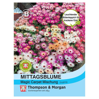 Samenmischung Mittagsblume 'Magic Carpet'