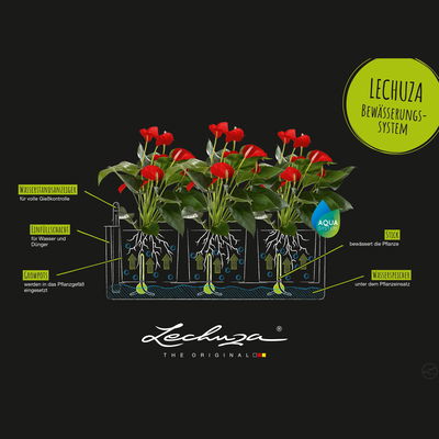 Lechuza 'Cube Color Triple', limettengrün, 40 x 14 x H 14 cm