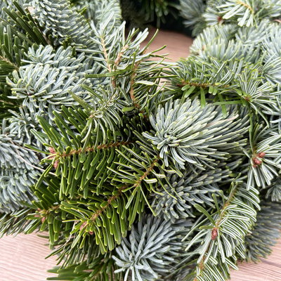 Adventskranz, Mixgrün, halbrund gebunden, ca. 30 cm Ø Adventskranz, Mixgrün, halbrund gebunden, ca. 30 cm Ø