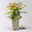 Niedrige Fiederspiere, Sorbaria sorbifolia 'Sem'(s), cremeweiß, Topf 5 l