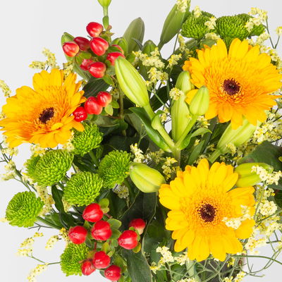 Bunter Schnittblumen-Mix mit Germini, Hyper, Statice & Lilie Bunter Schnittblumen-Mix mit Germini, Hyper, Statice & Lilie