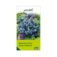 Blausternchen (Scilla Siberica) blau, 15 Blumenzwiebeln