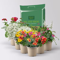 Pflanzenkreation 'Insektenbuffet', bunt, 6 Pflanzen inkl. Erde