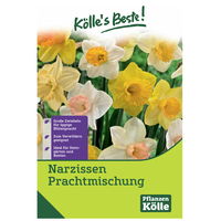 Narzissen Prachtmischung 15 Blumenzwiebeln