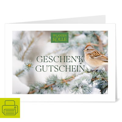 Gutschein zum Ausdrucken 'Winter' Gutschein zum Ausdrucken 'Winter'
