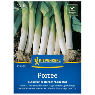 Gemüsesamen, Porree 'Blaugrüner Herbst', weiß Gemüsesamen, Porree 'Blaugrüner Herbst', weiß