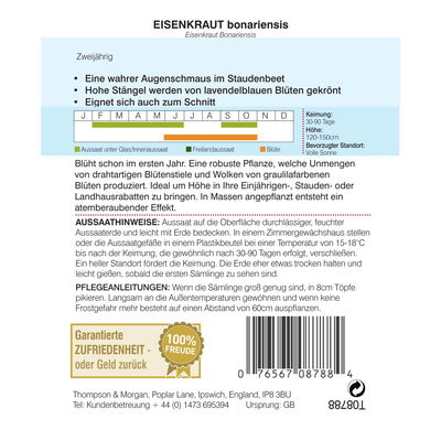 Thompson & Morgan Eisenkraut bonariensis