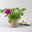 Sommerblumen-Mix, nach Verfügbarkeit, Topf-Ø 13 cm, 3 Pflanzen