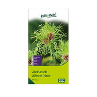 Allium Hair (Zierlauch) grün/lila, 10 Blumenzwiebeln