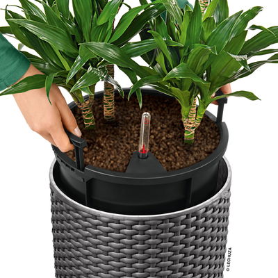 Lechuza 'Cilindro Cottage 32', granit, ca. Ø 32 x H 56 cm