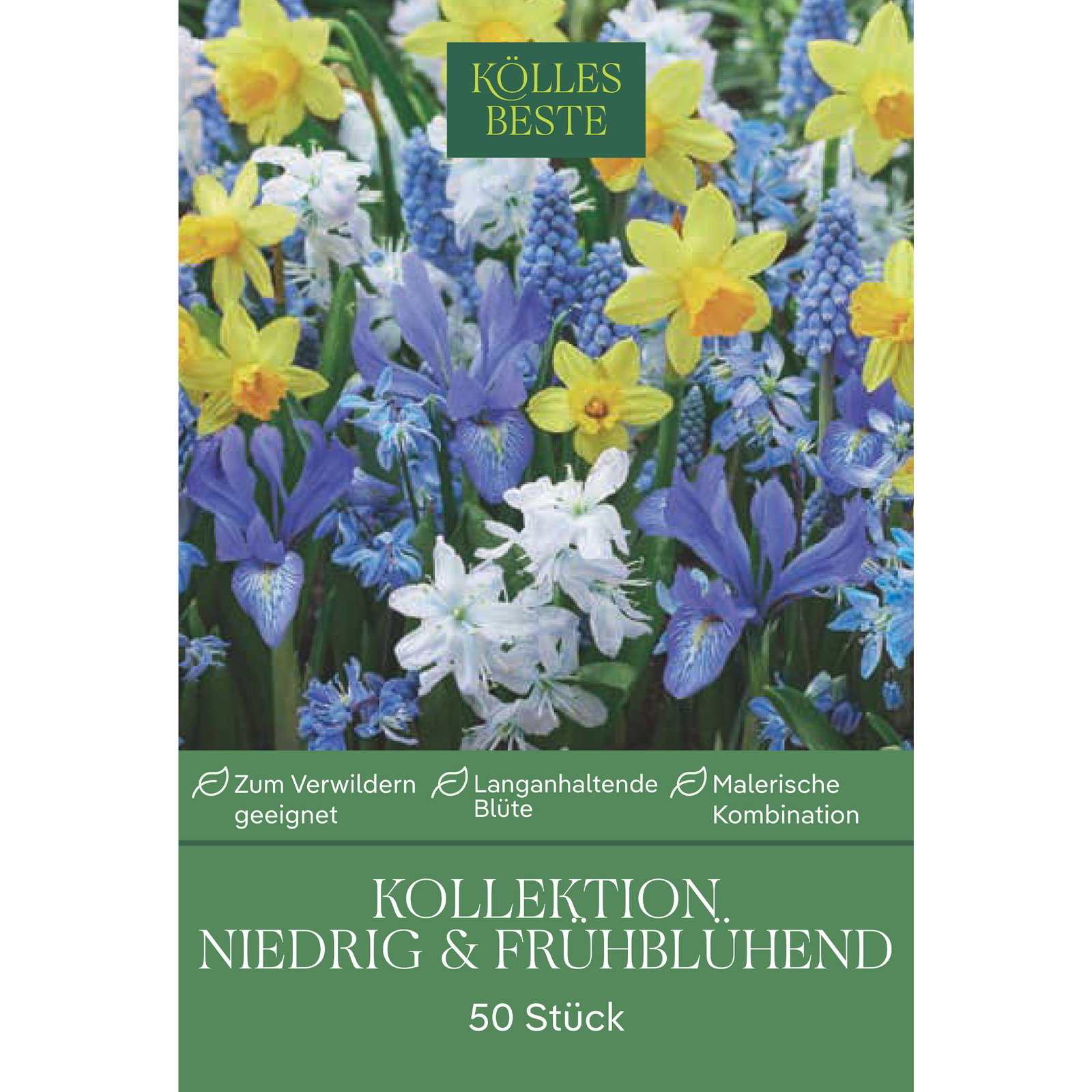 Kollektion kleinbleibende, frühblühende Blumenzwiebeln, 50 Blumenzwiebeln Kollektion kleinbleibende, frühblühende Blumenzwiebeln, 50 Blumenzwiebeln