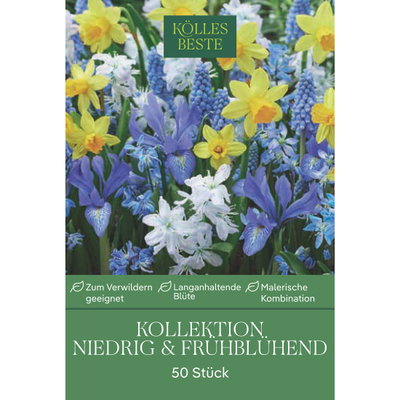 Kollektion kleinbleibende, frühblühende Blumenzwiebeln, 50 Blumenzwiebeln Kollektion kleinbleibende, frühblühende Blumenzwiebeln, 50 Blumenzwiebeln