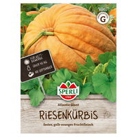 Sperli Gemüsesamen, Riesenkürbis 'Atlantic Giant'