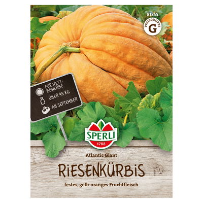 Sperli Gemüsesamen, Riesenkürbis 'Atlantic Giant'