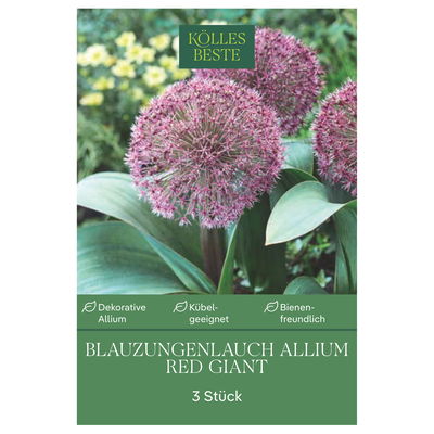 Blauzungenlauch 'Red Giant', lila, Größe 12/14, 3 Blumenzwiebeln Blauzungenlauch 'Red Giant', lila, Größe 12/14, 3 Blumenzwiebeln