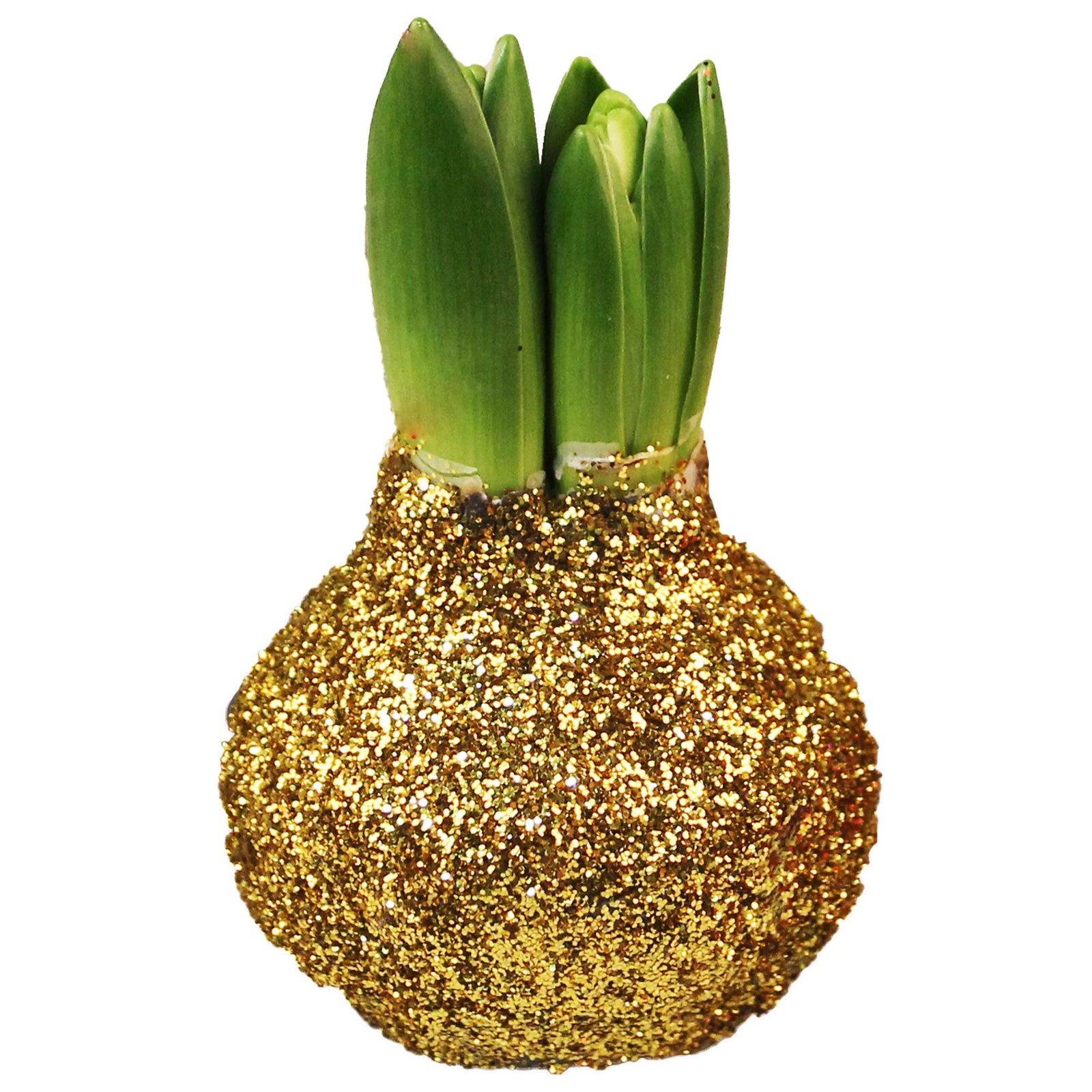 Hyazinthe in Wachs Glitter Metallic gold, 4er-Set