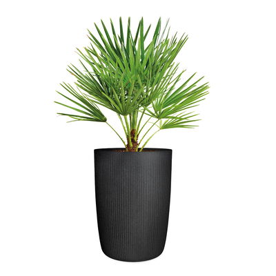 Scheurich Pflanzgefäß 'Linetto', schwarz, ca. Ø 39 x H 54 cm