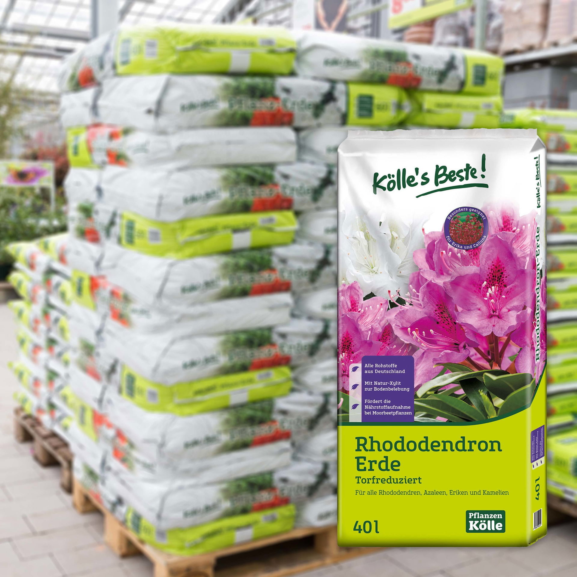 Kölle's Beste Rhododendronerde 2400l bei PflanzenKölle kaufen