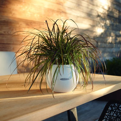 Lechuza 'Puro Color 20', weiß, ca. Ø 20 x H 16 cm