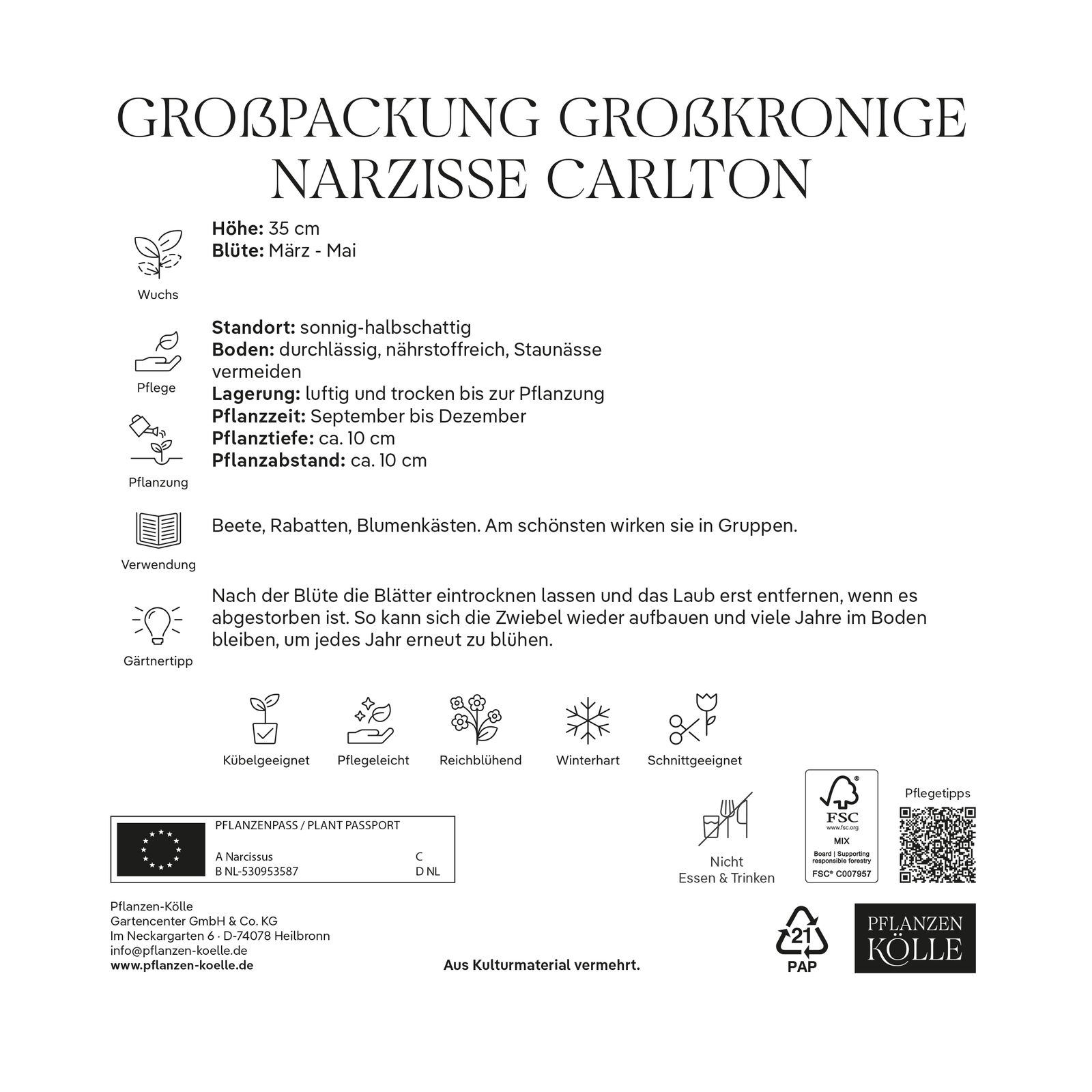 Großpackung Großkronige Narzissen Carlton gelb, 2 kg