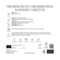 Großpackung Großkronige Narzissen Carlton gelb, 2 kg