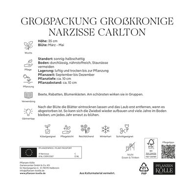 Großpackung Großkronige Narzissen Carlton gelb, 2 kg Großpackung Großkronige Narzissen Carlton gelb, 2 kg
