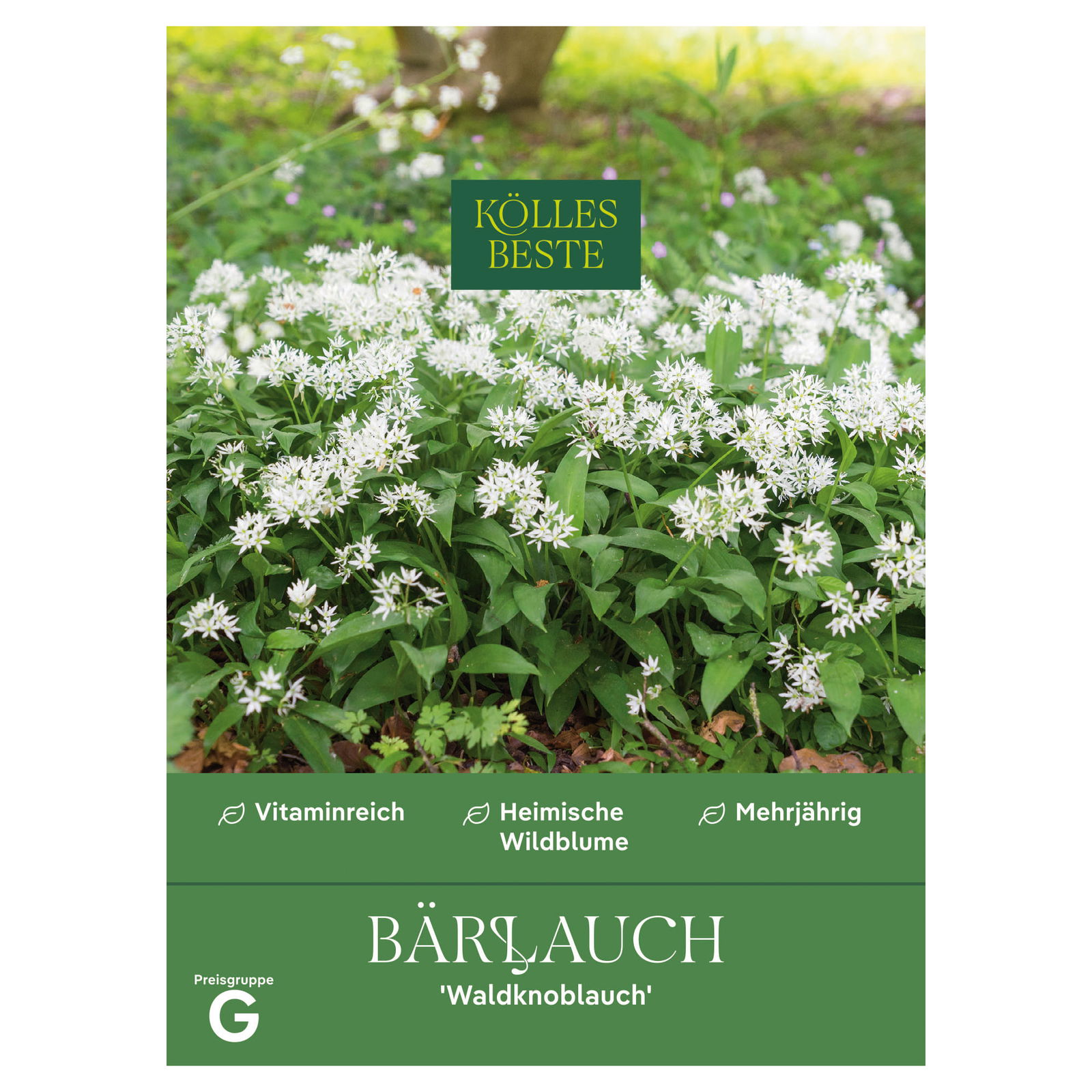 Kölles Beste Bärlauch/Allium/Ursinum, 7 g Kölles Beste Bärlauch/Allium/Ursinum, 7 g