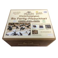 Bio Fertig-Pilzzuchtset Steinchampignons