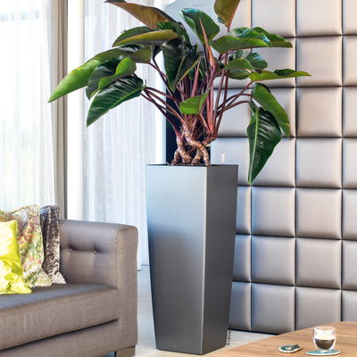 Lechuza 'Cubico Alto 40', anthrazit, ca. 39,5 x 39,5 x H 105 cm