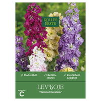 Kölles Beste Blumensamen, Levkoje 'Mammut Excelsior'